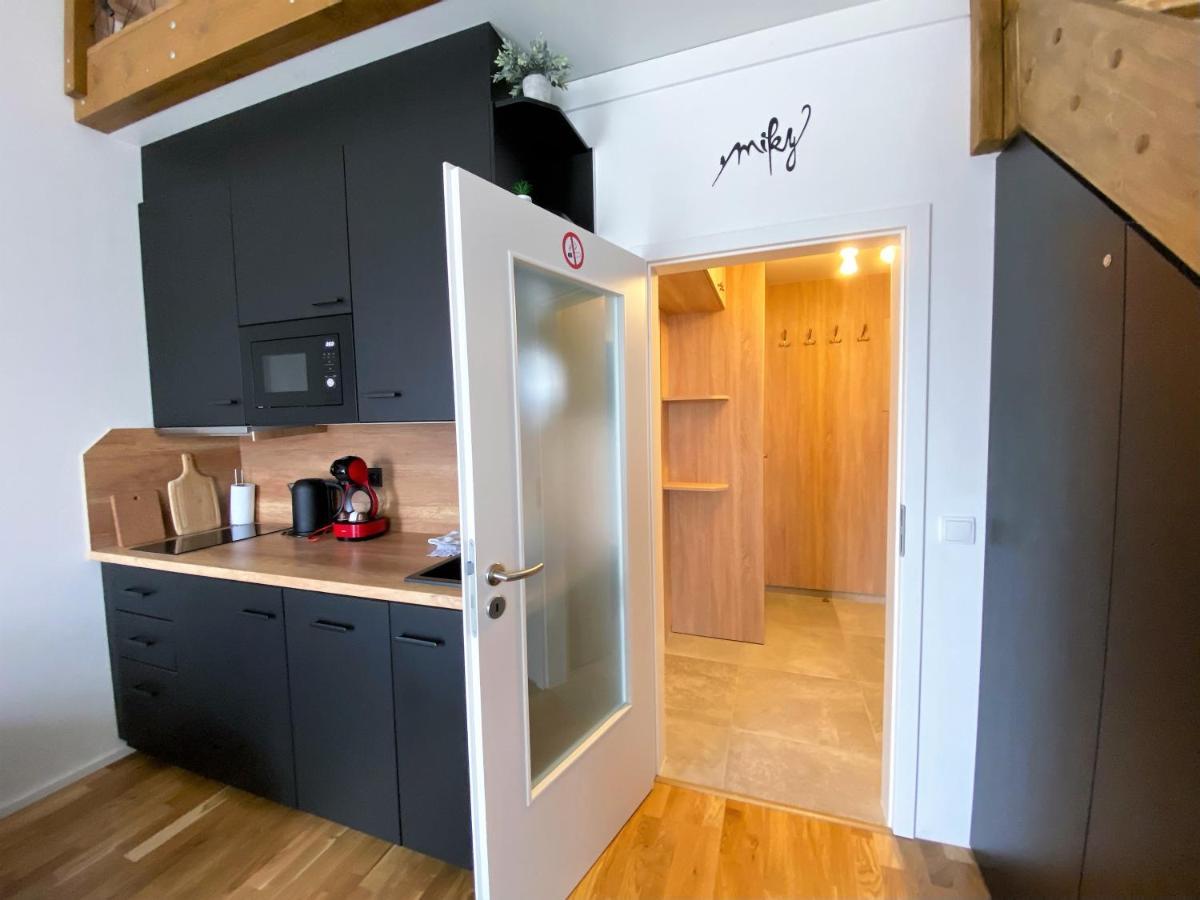 Miky Apartmán Klínovec view Loučná pod Klínovcem Esterno foto